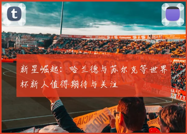 新星崛起：哈兰德与苏尔克等世界杯新人值得期待与关注