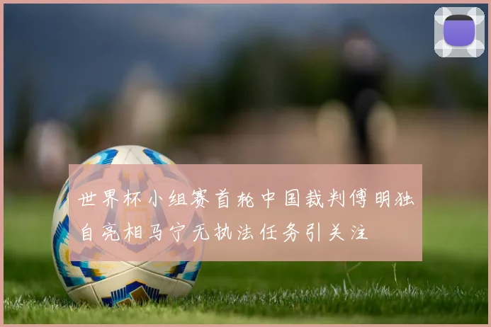 世界杯小组赛首轮中国裁判傅明独自亮相马宁无执法任务引关注