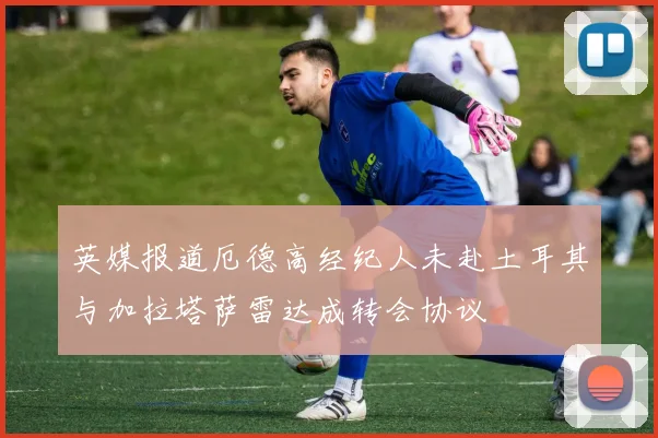 英媒报道厄德高经纪人未赴土耳其与加拉塔萨雷达成转会协议