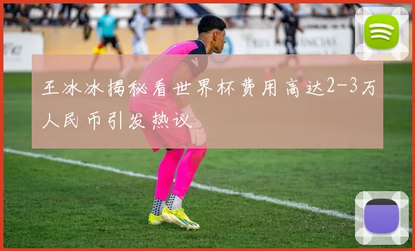 王冰冰揭秘看世界杯费用高达2-3万人民币引发热议